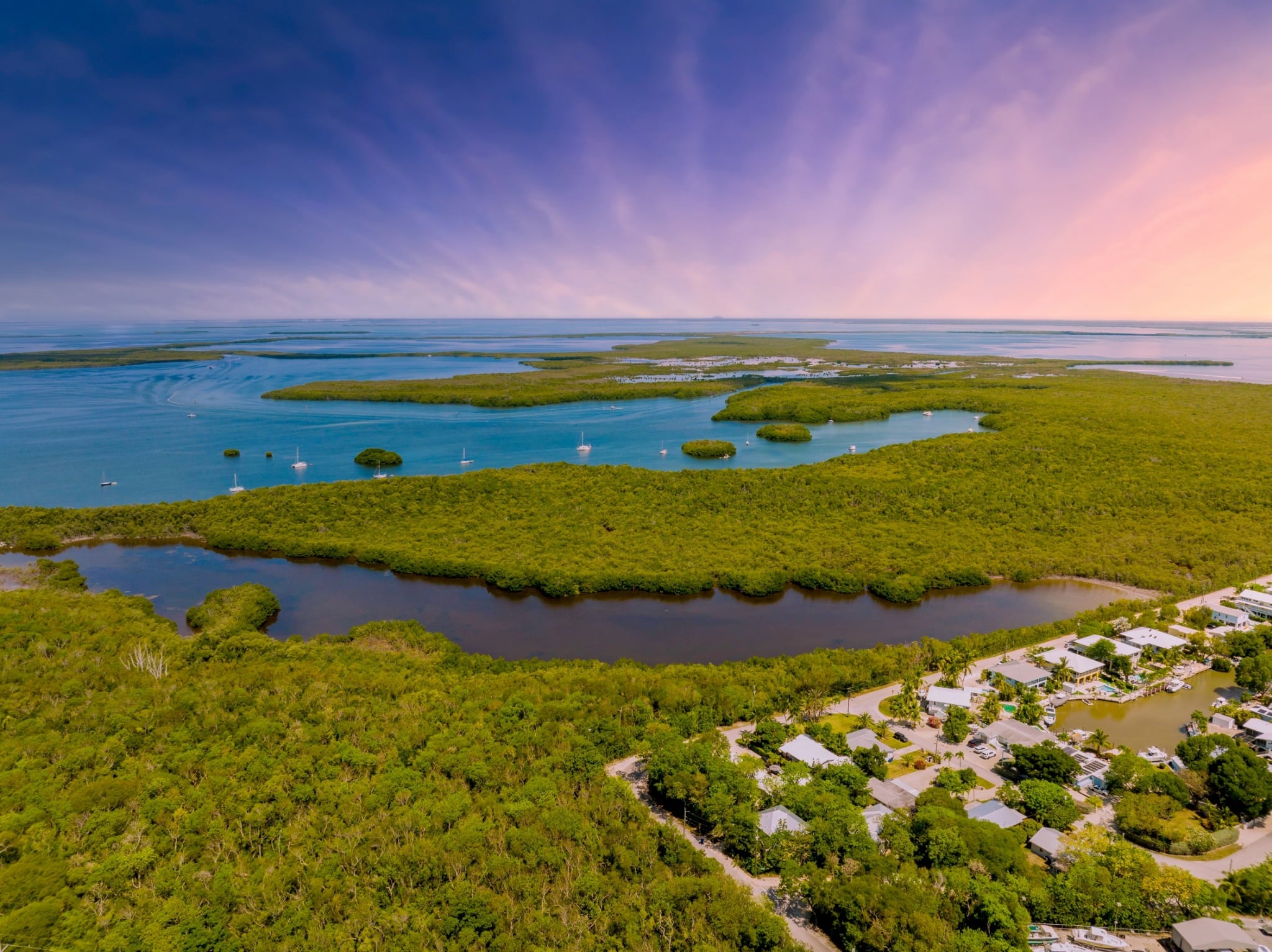 Mangrove-eilanden in blauwe baai bij Key Largo, Florida