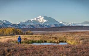 Wandelaar in Denali National Park met bergen op de achtergrond