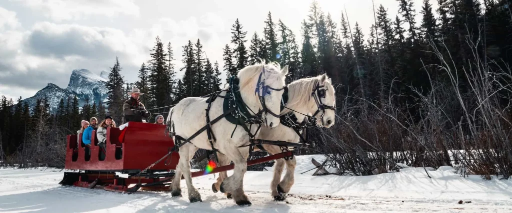 Sleigh Rides in Banff