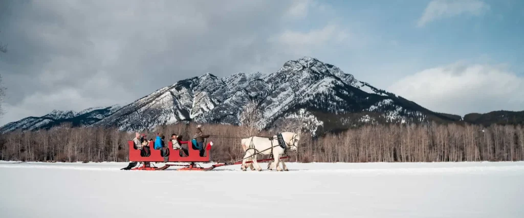 Sleigh Rides in Banff in de sneeuwvlaktes van Banff
