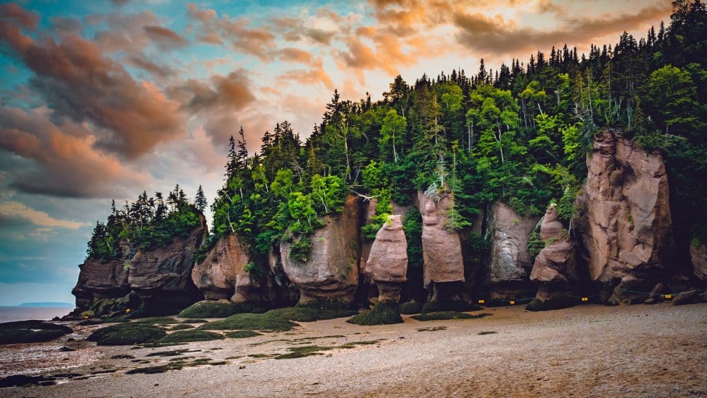 Fundy National Park rotsen en bos bij zonsondergang