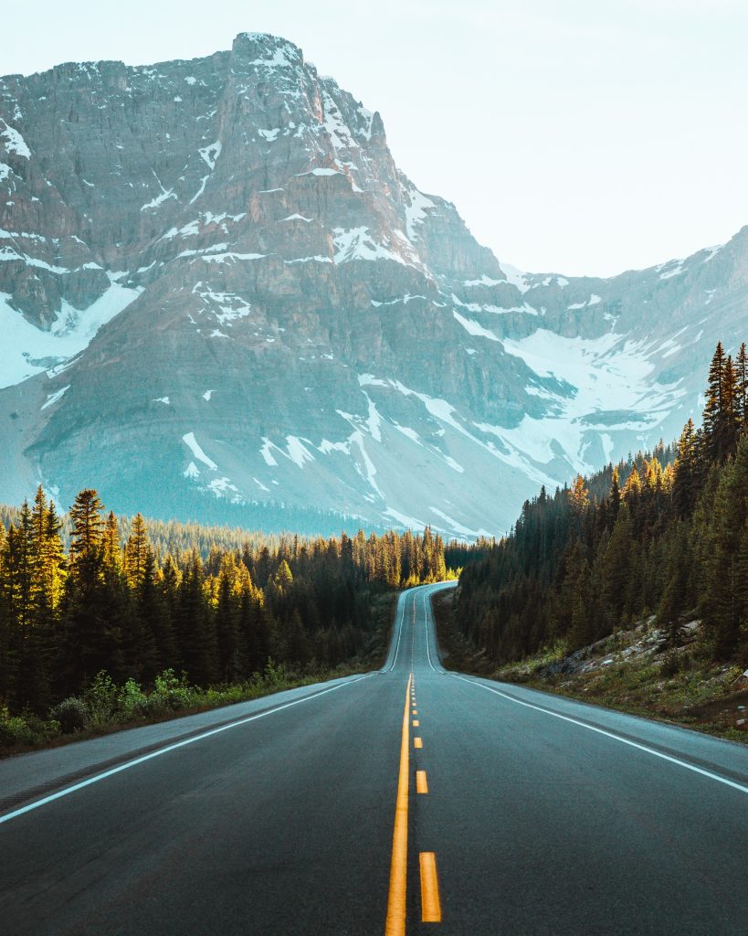 Icefields Parkway in Alberta met weg, dennen en besneeuwde bergen