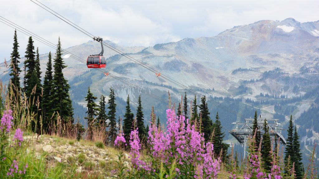 Whistler Peak to Peak gondel in West-Canada met bergen en bloemen