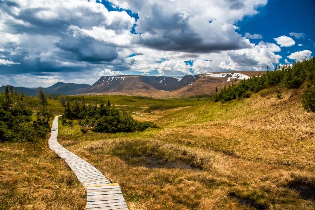 Tablelands in Gros Morne National Park met wandelpad