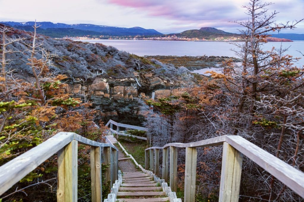 Uitzicht vanaf wandelpad in Gros Morne National Park, Newfoundland