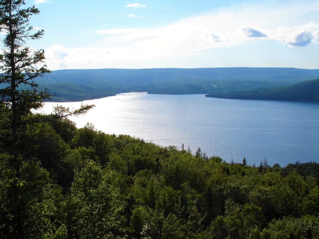 Bras d’Or Lake Nova Scotia met bos en water
