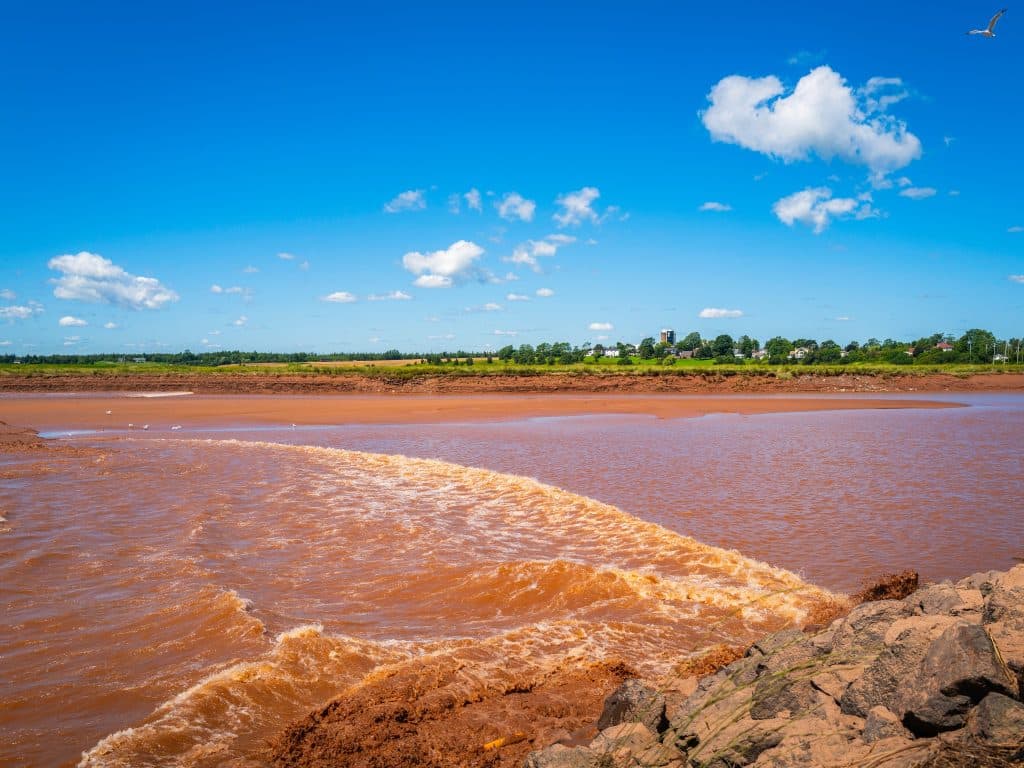 Tidal bore bij Truro Nova Scotia met bruine getijdengolf