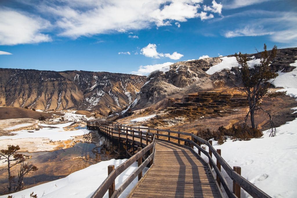 Mammoth Hot Springs terrassen in Yellowstone National Park