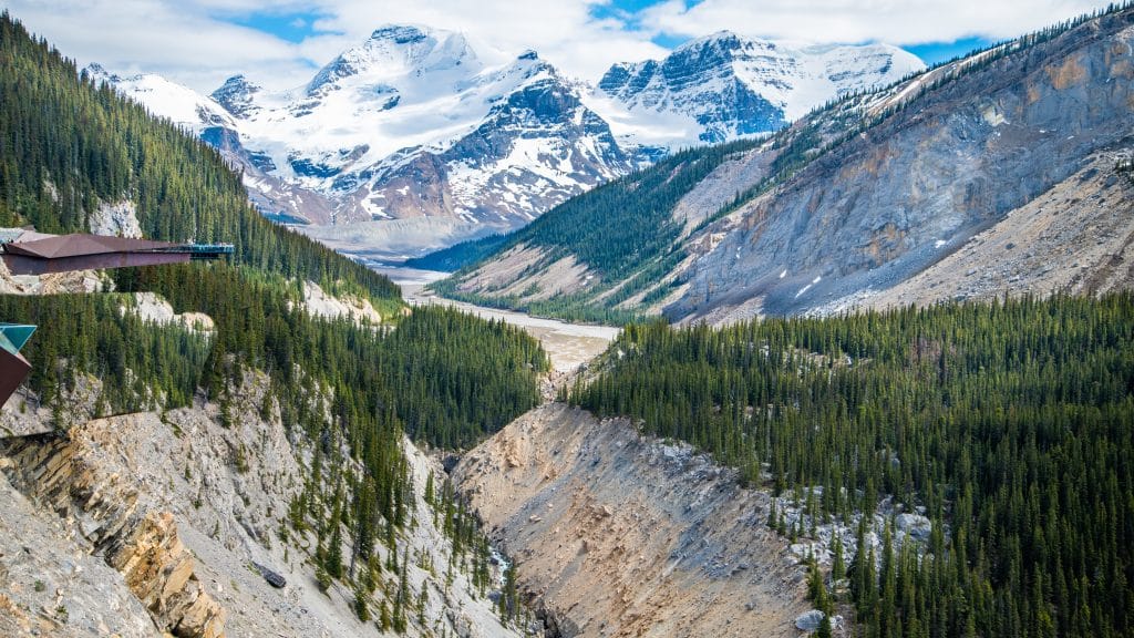 Uitzicht vanaf de Glacier Skywalk op een brede vallei met sparren en besneeuwde bergtoppen.