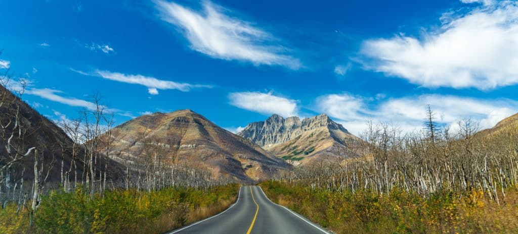 Rechte weg richting de bergen in Waterton Lakes National Park, met kale bomen en een blauwe lucht met wolken.