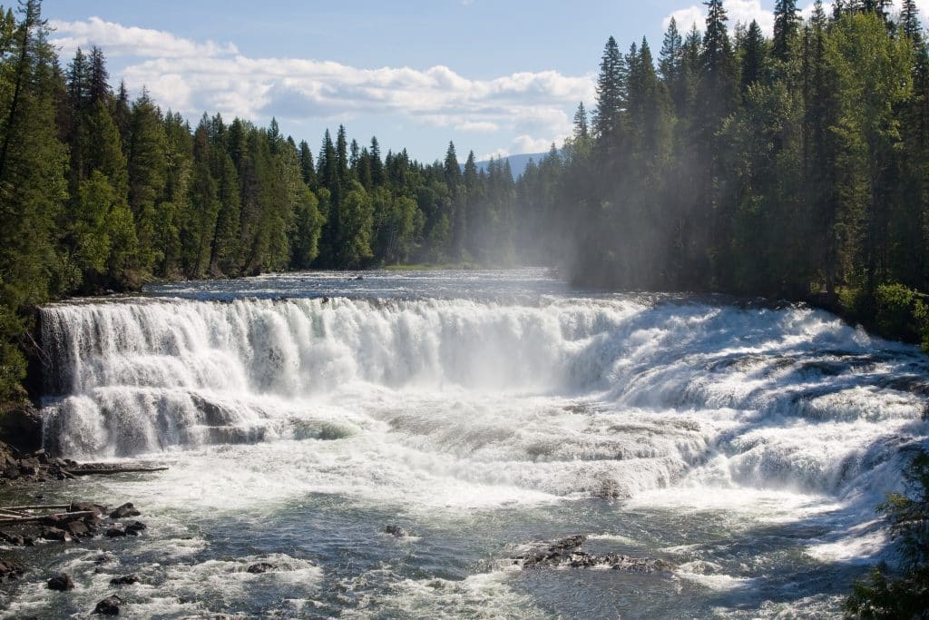 Brede waterval in Wells Gray Provincial Park omringd door dicht bos.