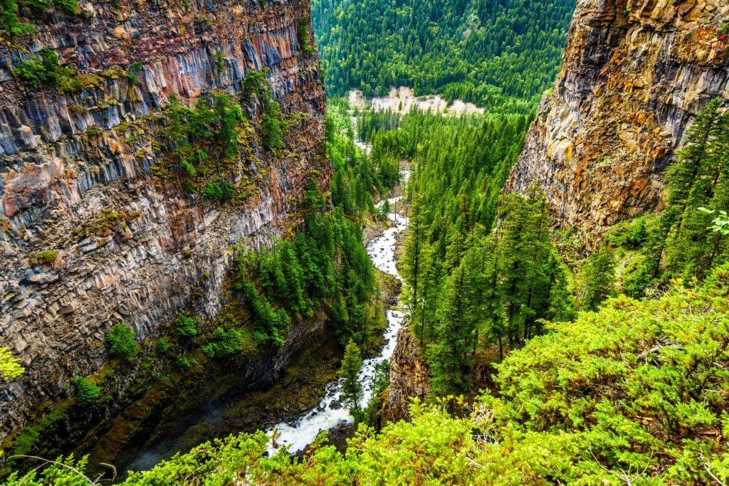 Diepe kloof in Wells Gray Provincial Park met een rivier tussen steile basaltwanden en dicht naaldbos.