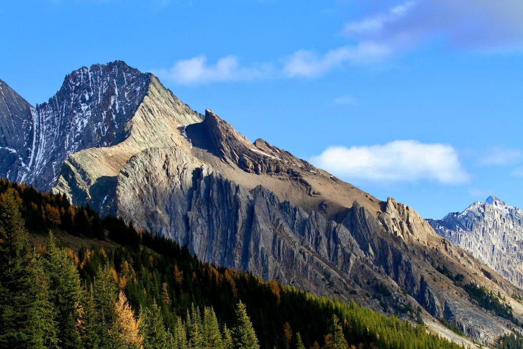Bergen en bos in Kananaskis Country in Alberta