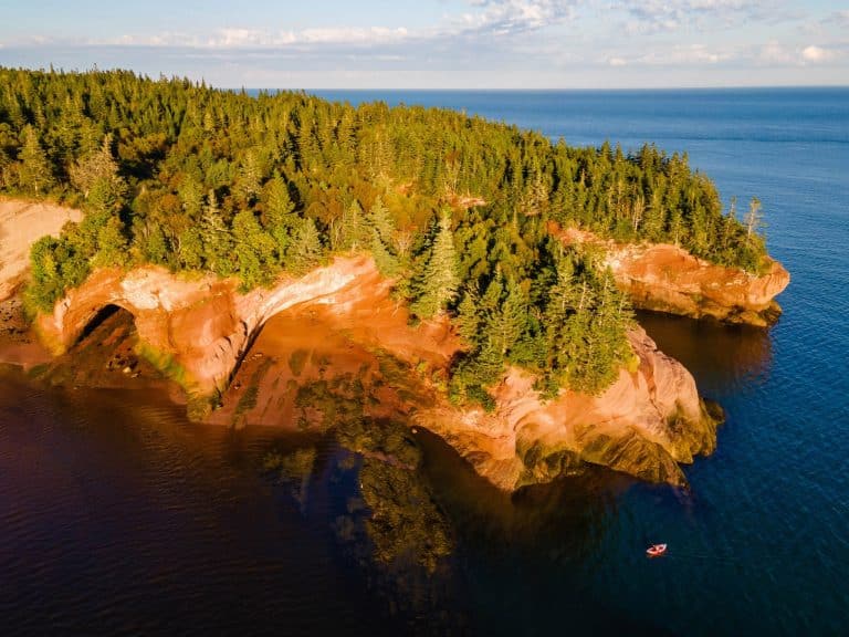 Atlantisch Canada NB Fundy National Park rode kustkliffen en bos aan zee