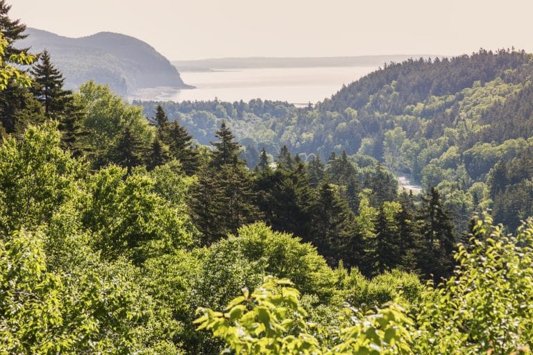 Atlantisch Canada NB Fundy National Park uitzicht over bos en baai