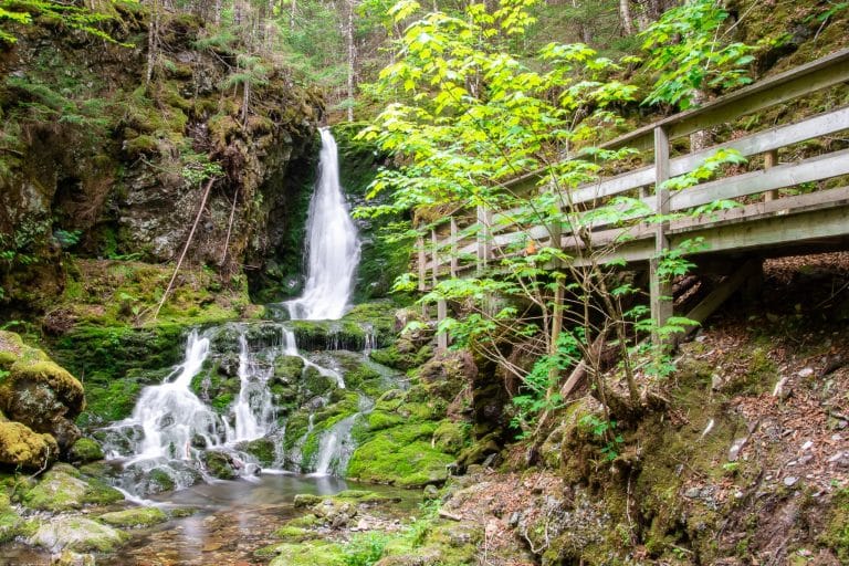 Atlantisch Canada NB Fundy National Park waterval met houten loopbrug