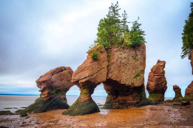 Atlantisch Canada NB Hopewell Cape bloemenpot rotsen met bomen
