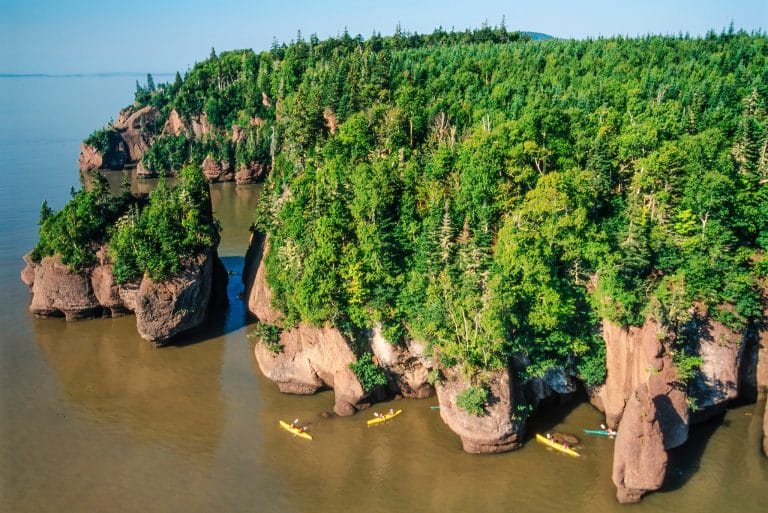 Atlantisch Canada NB Hopewell Cape kajakkers langs bloemenpo trotsen
