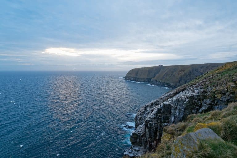 Atlantisch Canada NL Cape St Marys kustlijn met steile kliffen