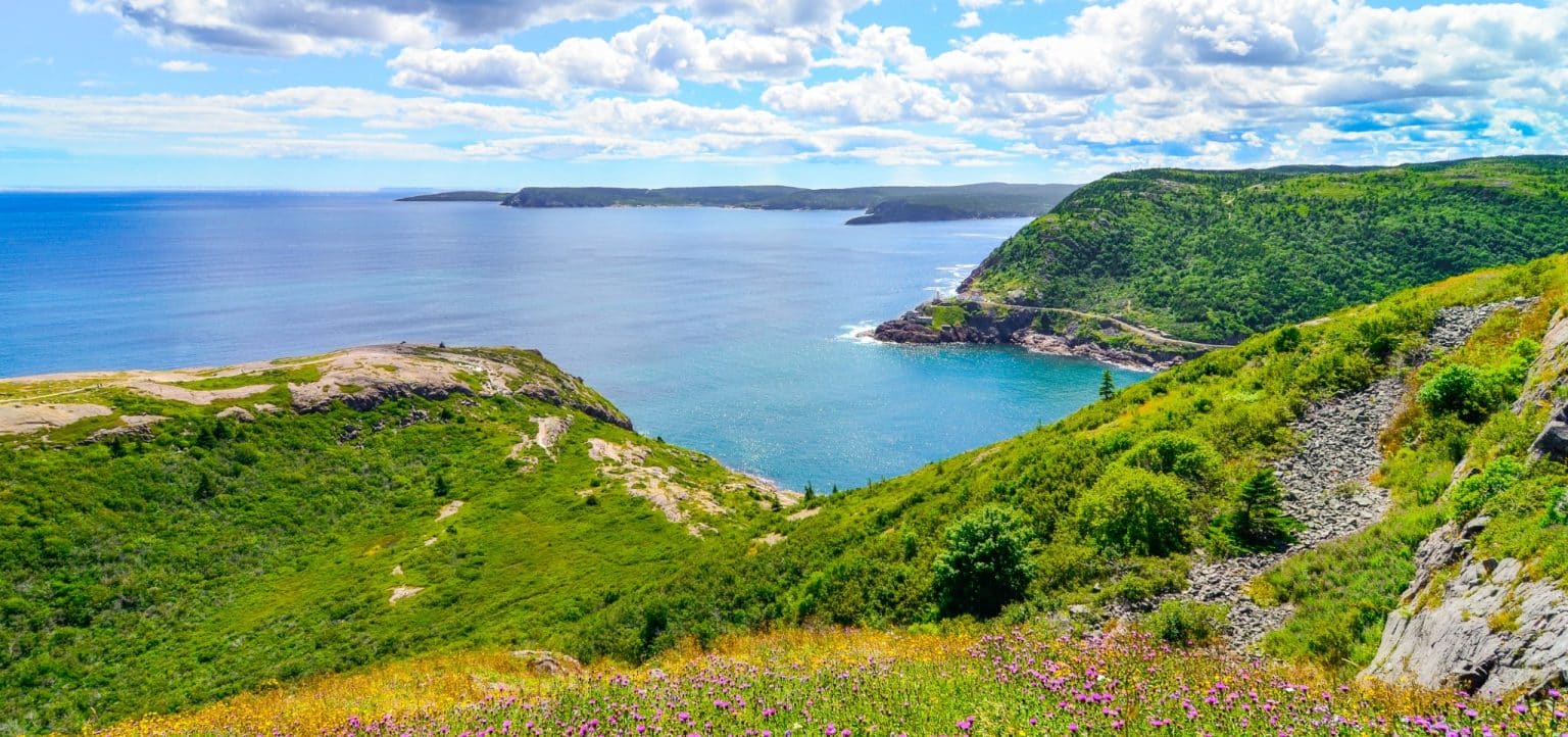 Atlantisch Canada NL Cape St Marys uitzicht over baai en kust