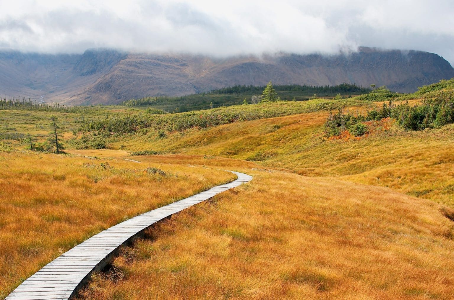 Atlantisch Canada NL Gros Morne National Park houten pad door heuvelachtig landschap