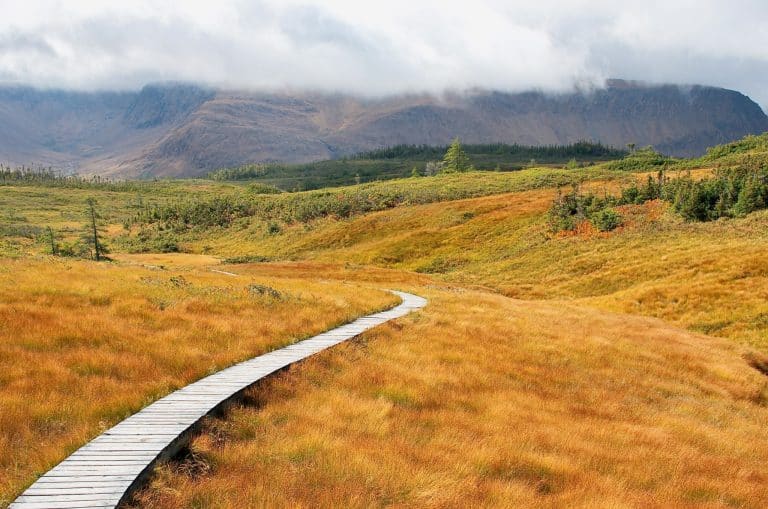 Atlantisch Canada NL Gros Morne National Park houten pad door heuvelachtig landschap