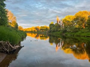 Rivier met bomen in Antigonish in Nova Scotia