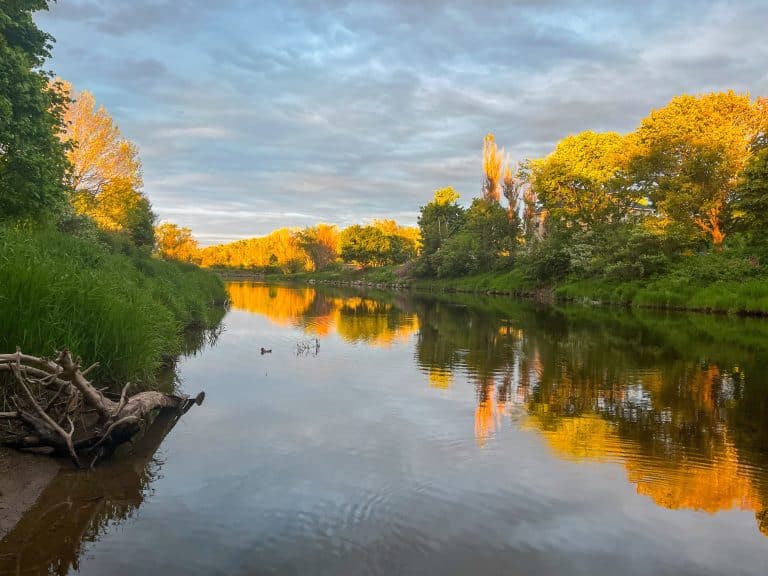 Rivier met bomen in Antigonish in Nova Scotia