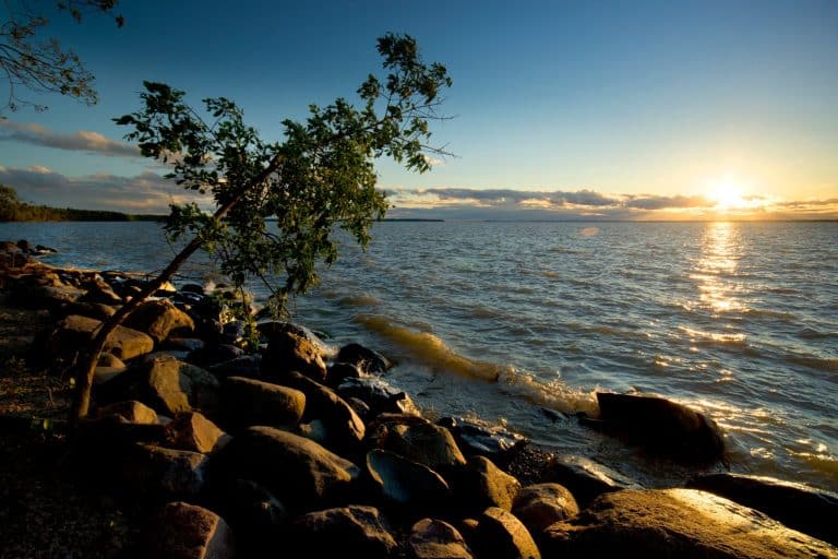 Centraal Canada MB Hecla Grindstone Provincial Park rotsachtige oever met boom
