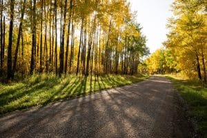 Centraal Canada MB Riding Mountain National Park bosweg in de herfst