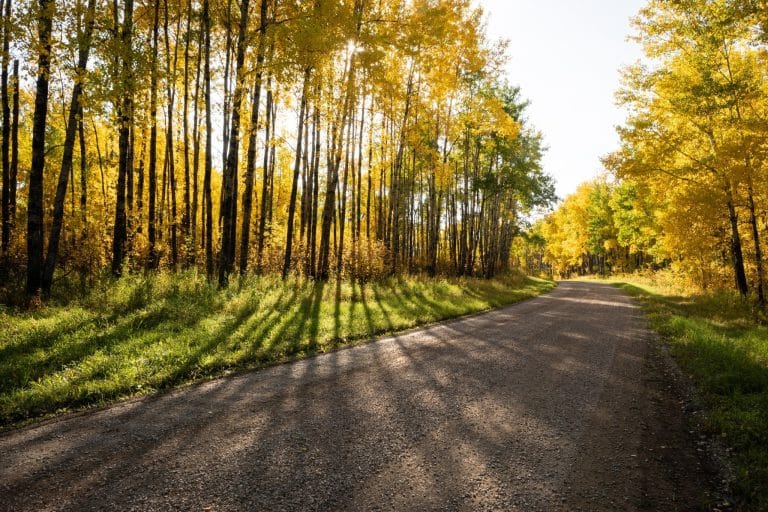 Centraal Canada MB Riding Mountain National Park bosweg in de herfst