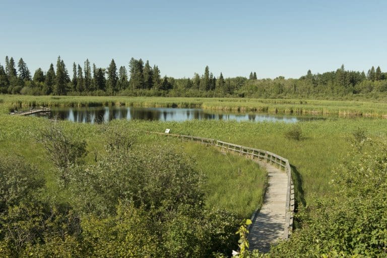 Centraal Canada MB Riding Mountain National Park houten vlonderpad door moeras