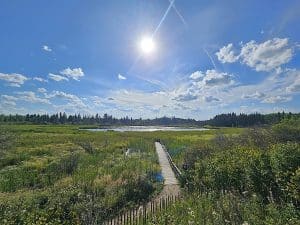 Centraal Canada MB Riding Mountain National Park vlonderpad moeras met uitzicht