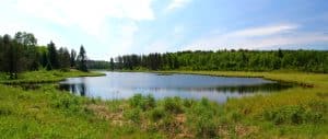 Centraal Canada Manitoba Whiteshell Provincial Park meer met bosrand