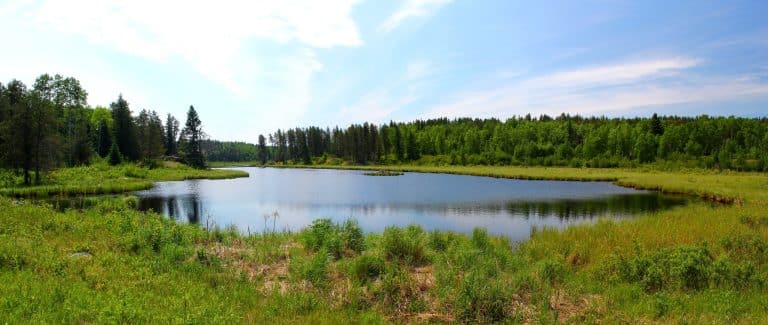 Centraal Canada Manitoba Whiteshell Provincial Park meer met bosrand