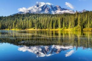 Berg en meer in Mount Rainier National Park