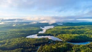 Algonquin Provincial Park met meren en bossen vanuit de lucht