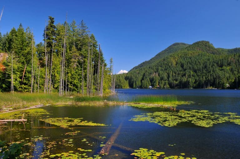 Meer met bossen bij Egmont, Sunshine Coast