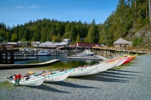 Kajaks in de haven van Telegraph Cove