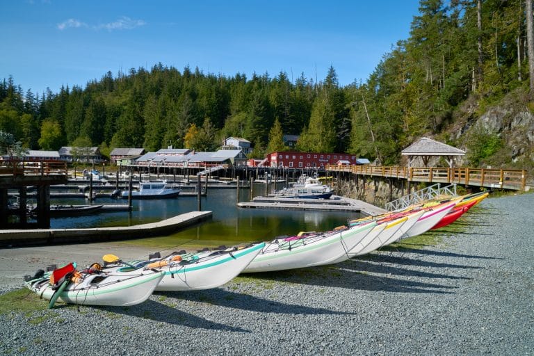 Kayaks On The Shore Telegraph Cove Kayks Prepped And Beached