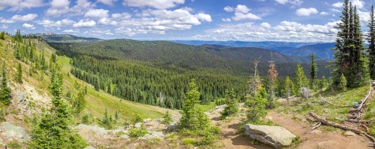 Panorama Of Alpine Meadows At E. C. Maning Provincial Park