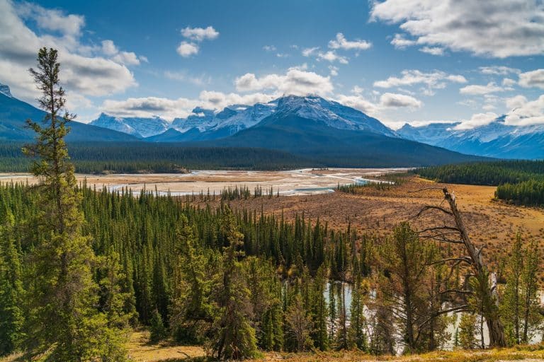 West Canada AB Saskatchewan River Crossing berglandschap en rivier