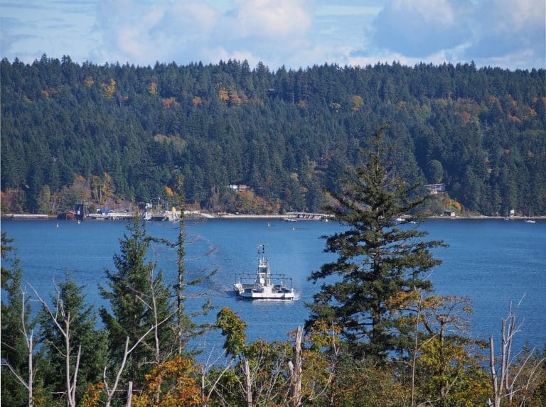 West Canada BC Comox Valley veerboot op zee met bosrijke kust
