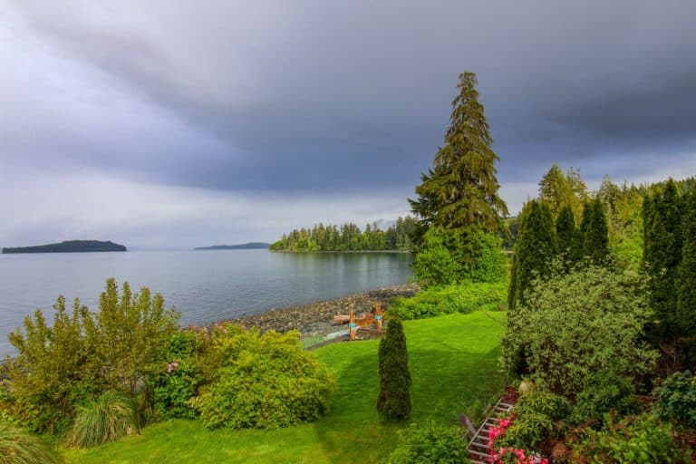 West Canada BC Port McNeill kustlijn met groen