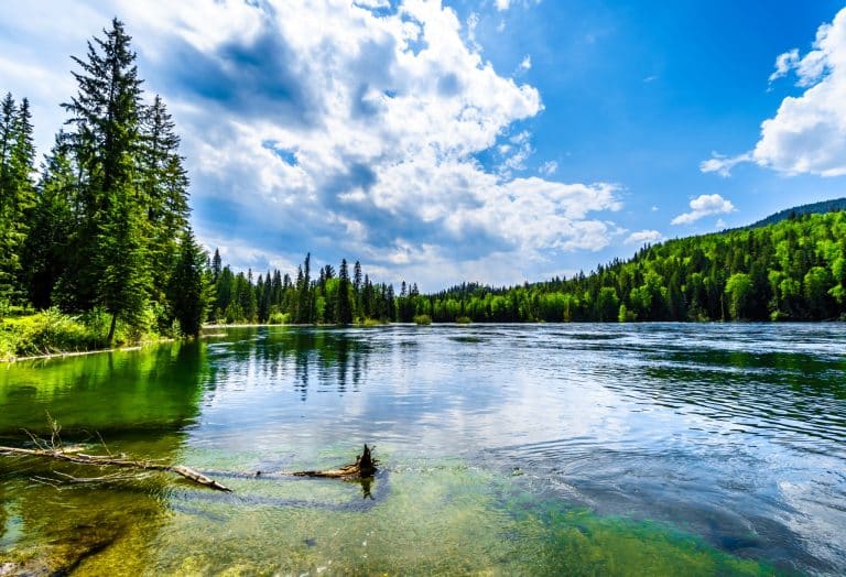 West Canada BC Wells Gray Provincial Park rivier met bos en bergingen