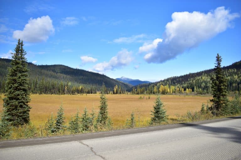 West Canada BC berglandschap met weg en naaldbossen