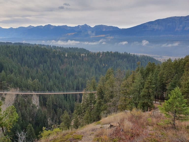 West Canada BC Golden hangbrug bosvallei
