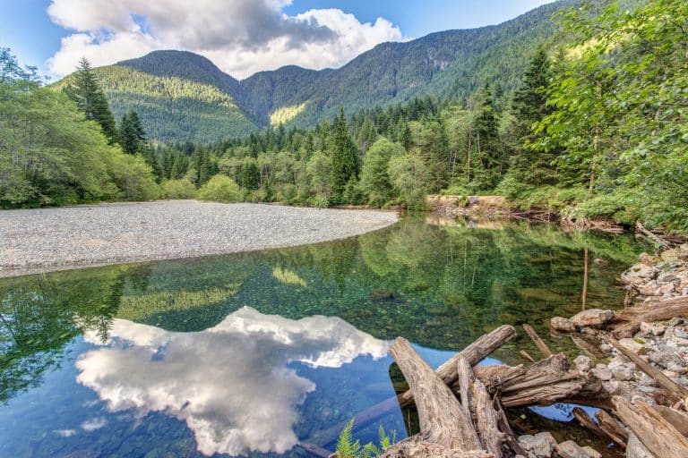 West Canada BC Golden rivierreflectie bos
