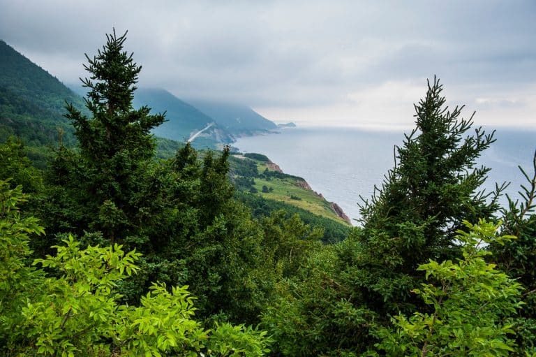 Atlantisch Canada NS Cape Breton Highlands National Park kustlijn met bossen en kliffen