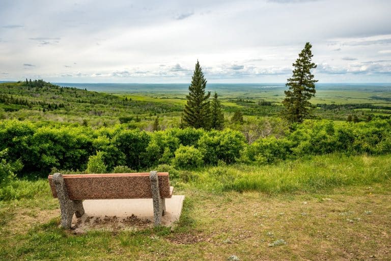 Centraal Canada SK Cypress Hills Interprovincial Park bankje met uitzicht over heuvels
